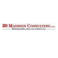 301 Madison Consulting, LLC logo