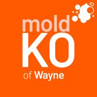 https://www.moldko.com/ Logo