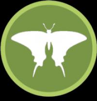 Bug Police logo