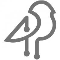 Pintail Real Estate Group logo