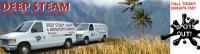 Deep Steam Carpet & Upholstery Cleaning Logo