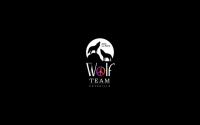 The Wolf Team Catskills Logo