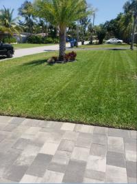 Mott's Landscaping and Lawn LLC Logo