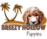Breezy Hollow Puppies logo