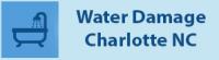 Max water damage charlotte logo