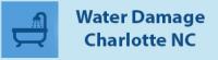Max water damage charlotte Logo