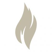 The Burn Society Logo
