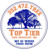 Top Tier Tree Specialist logo