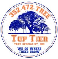 Top Tier Tree Specialist Logo