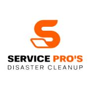 Services Pros of Bellevue Logo