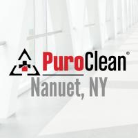 PuroClean Emergency Restoration Specialists Logo