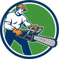 Elgin Tree Service And Snow Plowing Logo