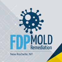 FDP Mold Remediation Logo