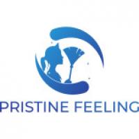 Pristine Feeling Logo