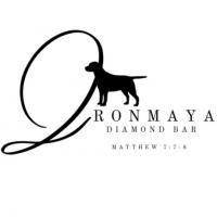 Ironmaya Pet Grooming Logo