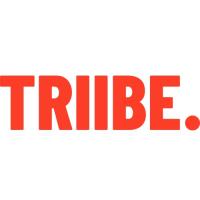 Triibe Talent Logo