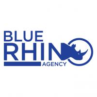 Blue Rhino Agency Logo