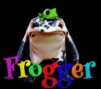 SEO Long Beach - Froggersite logo