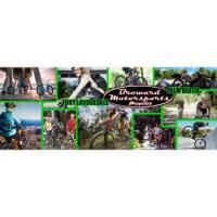 Broward Motorsports Bicycles Logo