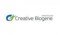 Creative Biogene logo