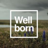 Wellborn Real Estate Logo