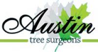 Tree Surgeons of Austin Logo