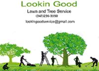 Lookin Good Lawn and Tree Service Logo