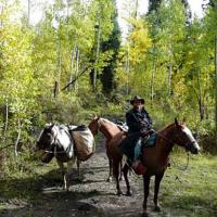 Bryce Outfitting Logo