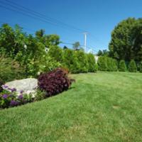 W L Williams Landscaping Logo