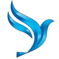 Bluebird Express Car Wash Logo