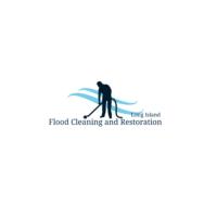 Flood Cleaning and Restoration Long Island Logo