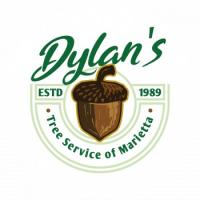 Dylan's Tree Service of Marietta East logo