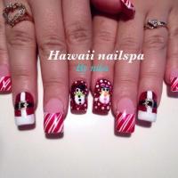Hawaii Nail Spa Logo