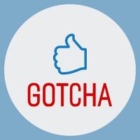 GOTCHA, your Personal & Corporate Wellness Marketplace Logo