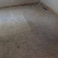 Richardson Carpet Cleaning, Inc. Logo