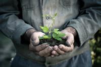 L & G Landscaping LLC Logo