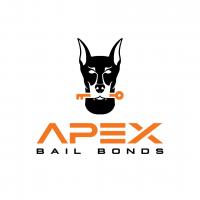 Apex Bail Bonds of Wentworth, NC logo