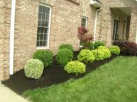 Better Lawns And Gardens Inc Logo