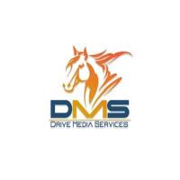 Drive Media Services Logo