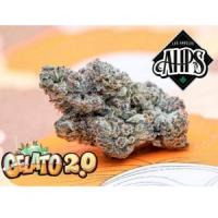 Jungle Boys Dispensary Logo