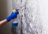 Kansas City Mold Solutions Logo