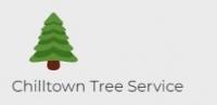Chilltown Tree Service Logo