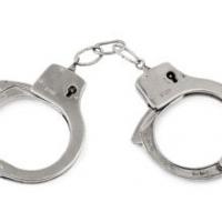 Speiser Bail Bonds Logo