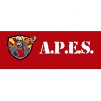 Arizona Plumbing Expert Services Logo