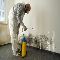 Hollywood, FL Mold Inspection Logo