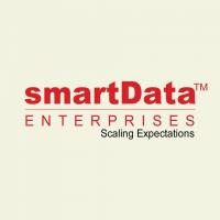smartData Enterprises Inc Logo
