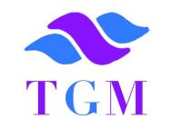 The Good Mental Logo