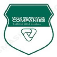 Temecula Mold Remediation Pros Logo