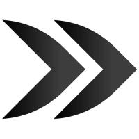 Warrior Car Accident Lawyers Logo