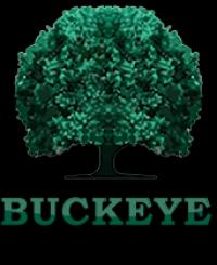 Buckeye Vault Service Logo
